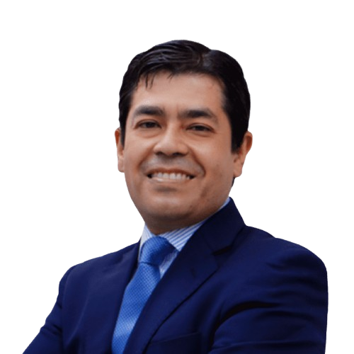 Asesor Principal