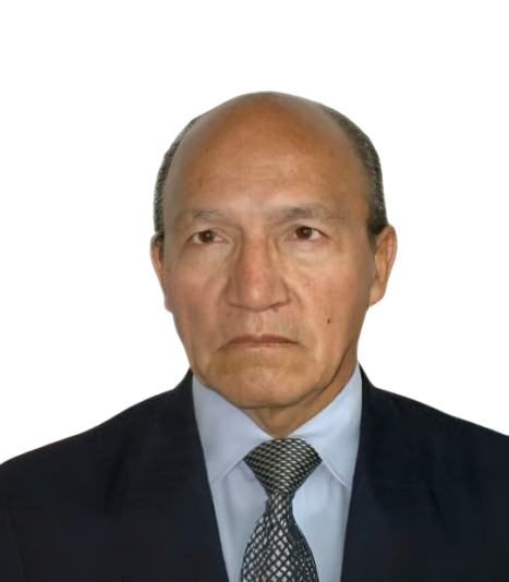 Asesor Principal