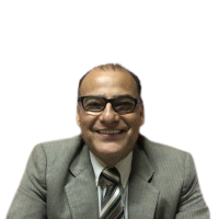 Asesor Principal